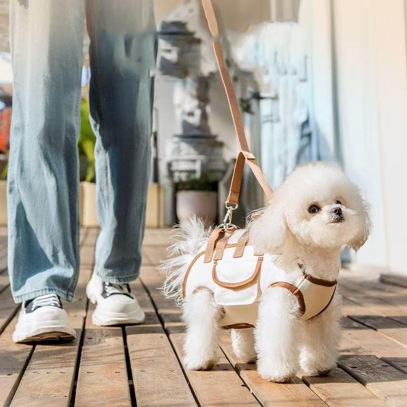 6-in-1 Pet Carrier Backpack with Leash & Lift Harness