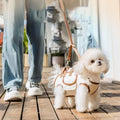 6-in-1 Pet Carrier Backpack with Leash & Lift Harness